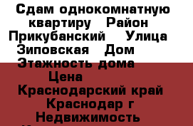 Сдам однокомнатную квартиру › Район ­ Прикубанский  › Улица ­ Зиповская › Дом ­ 42 › Этажность дома ­ 16 › Цена ­ 10 000 - Краснодарский край, Краснодар г. Недвижимость » Квартиры аренда   . Краснодарский край,Краснодар г.